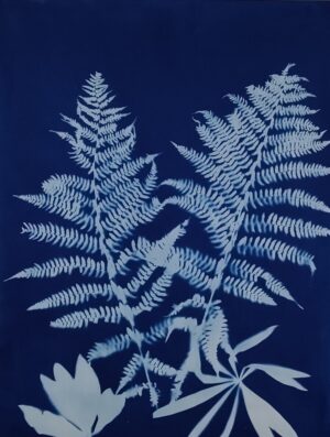 Ferns with Lupine Leaves