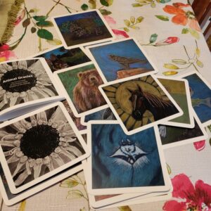 Animal Oracle Cards